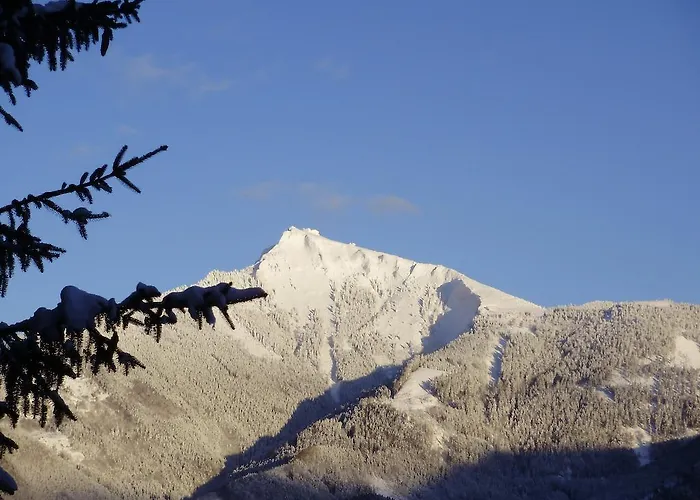 Apartma Mit Seeblick Sankt Gilgen